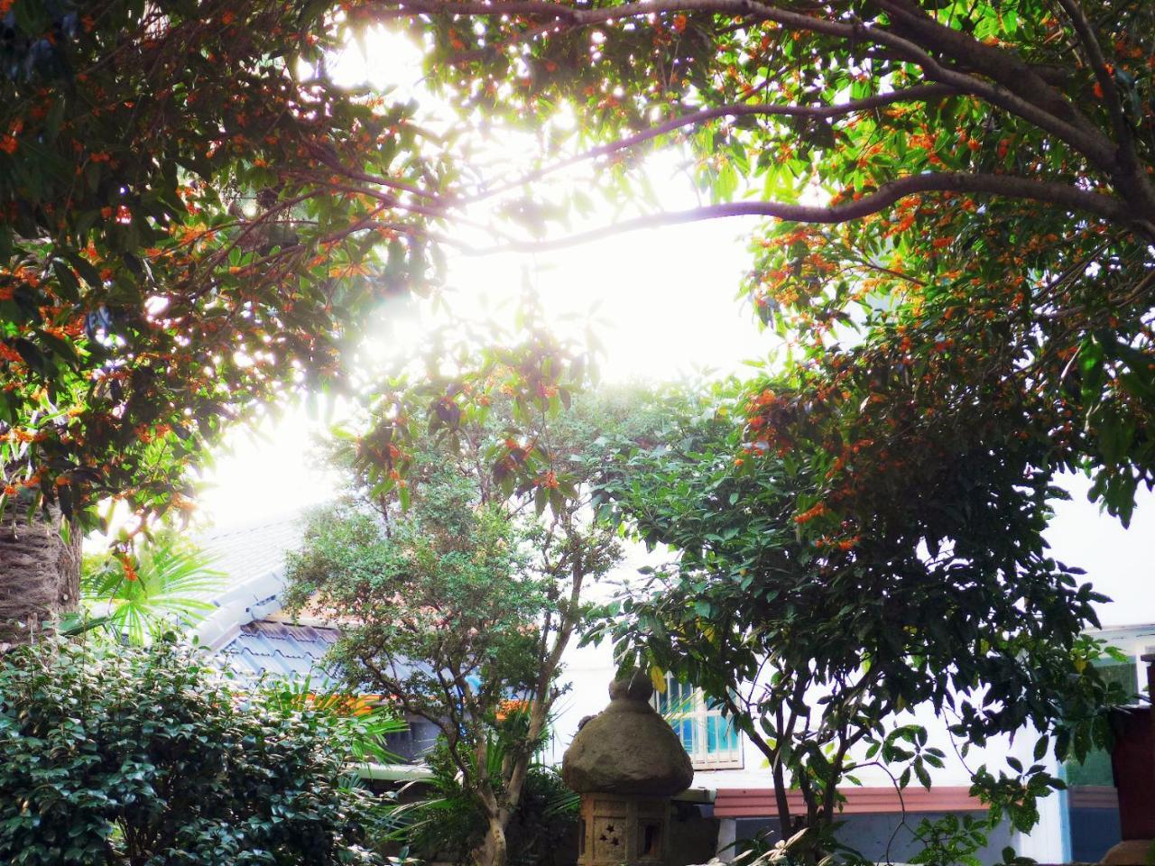 Picasso Guesthouse Mokpo Bagian luar foto